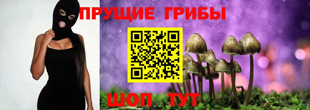 дарнет шоп  Галлюциногенные грибы MAGIC MUSHROOMS  Галлюциногенные грибы ЛСД  Вход с VPN  Отрадное 
